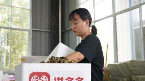 我在拼多多卖花茶，看见了3亿人的真实生活