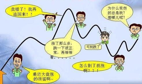 那根决定命运的5.15%一位散户的24小时