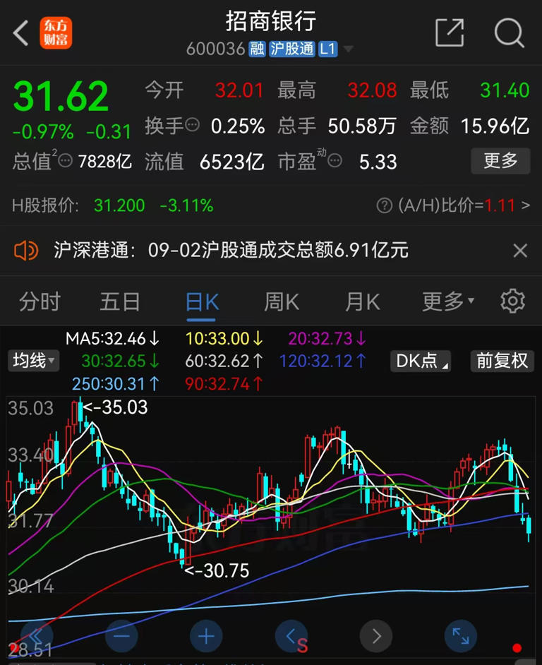 大叶转债早盘闪崩背后的博弈，强赎倒计时与大叶股份的估值压力