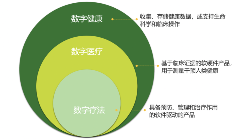 解构叮当健康盘中异动，数字医疗的风口、泡沫与价值回归之辩
