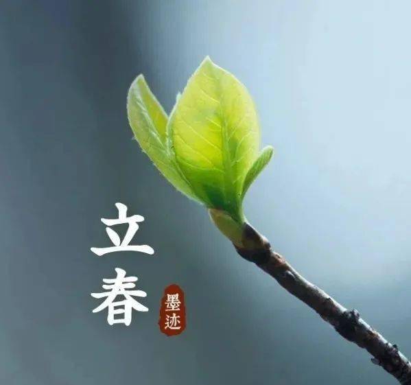 春水初生，春林初盛，A股积极因素正在积累