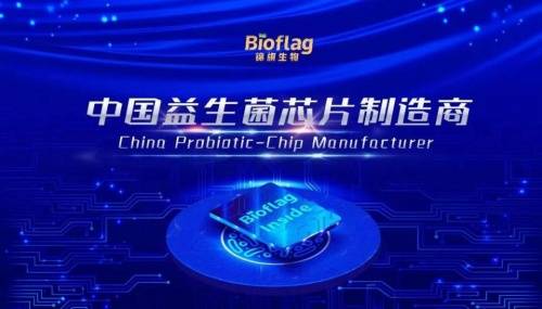 存储芯片风云再起，DRAM新一轮涨价潮已蓄势待发