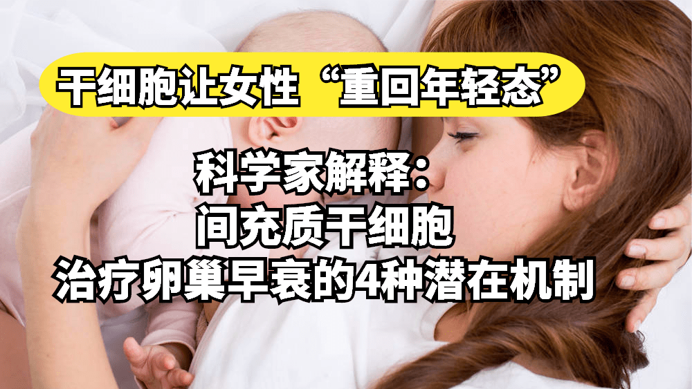 瑞穗，在冬雨与热茶之间