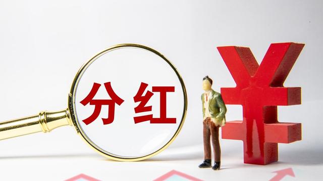 每股0.025元的仪式感，在分红的微光中，重新审视投资的本义
