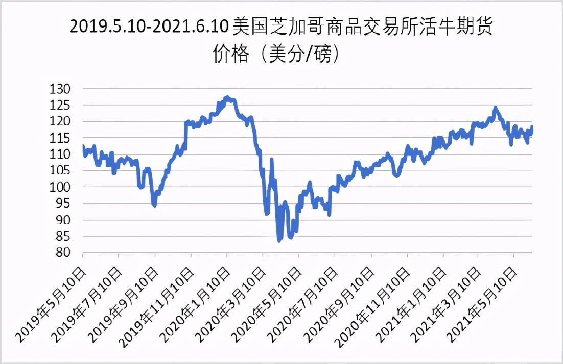 当指数或跌向2400，一场恐慌与价值的极限压力测试