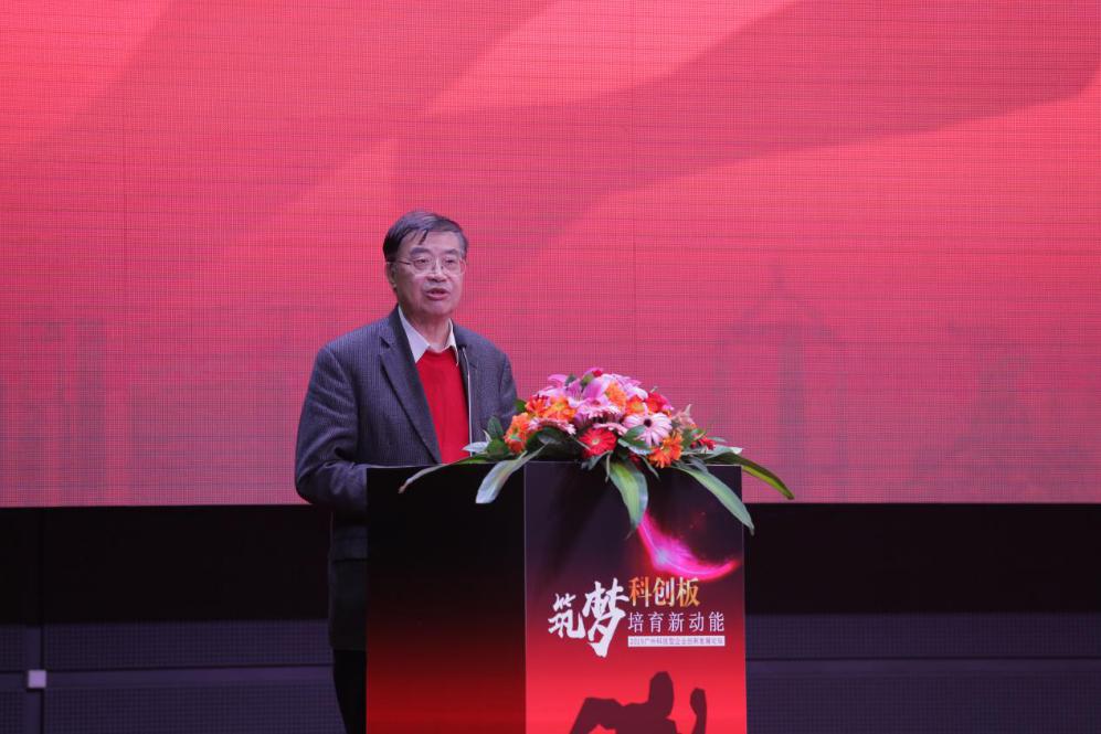 科创板，铸就硬科技崛起的新支点，撬动新质生产力的未来杠杆