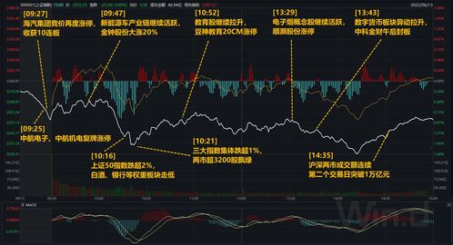 那5.25%的涨幅，不只是数字的狂欢