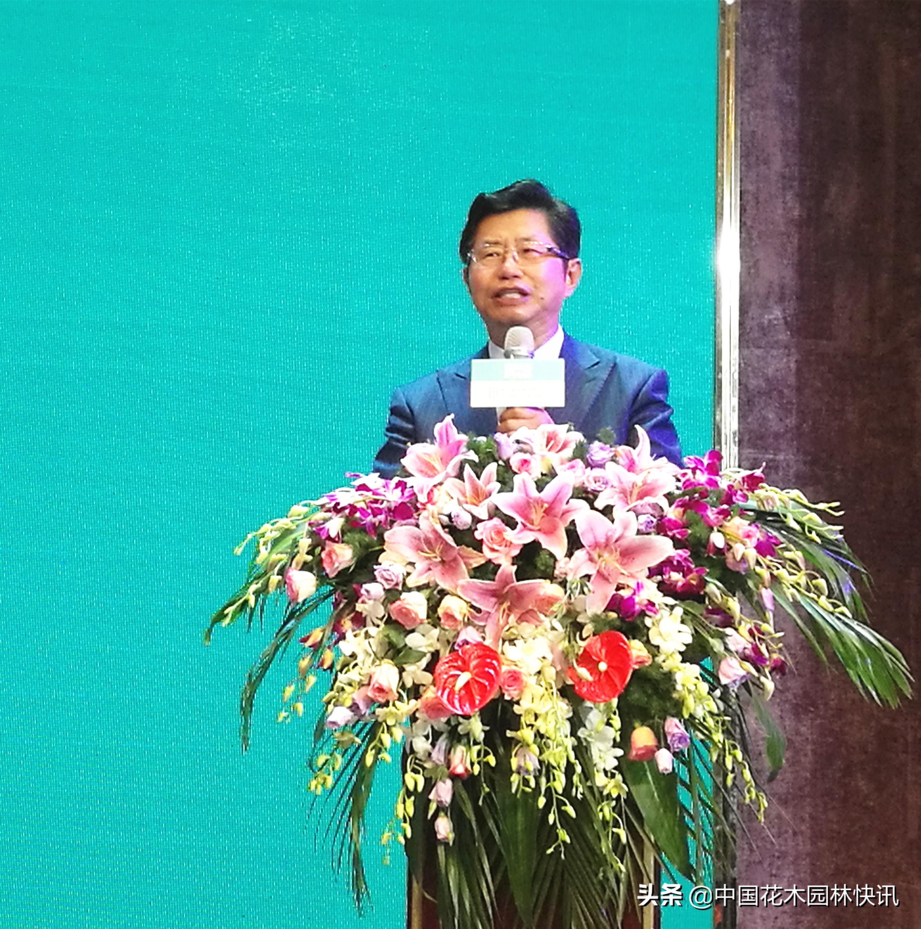 亚洲果业盘中异动，股价急涨背后的逻辑与冷思考