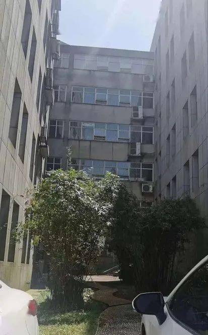 盛屯矿业被处罚预告，一堂关于信息披露的资本诚信课
