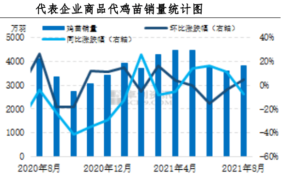 7月蛋鸡苗价格环比上涨，周期的脉动还是供需的变奏？