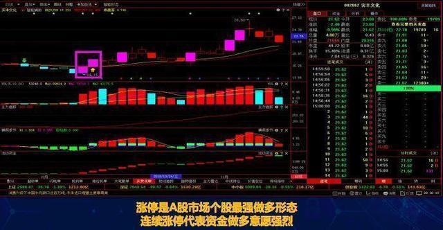那百分之三十的涨幅，是生活的惊雷，亦是时代的潮声