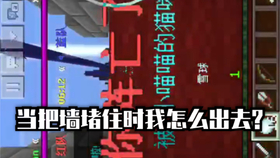 当基蛋生物遇见特警，一场资本市场的黑色幽默