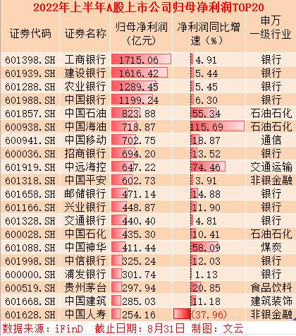 半年报透视，归母净利增长18.74%这家公司做对了什么？