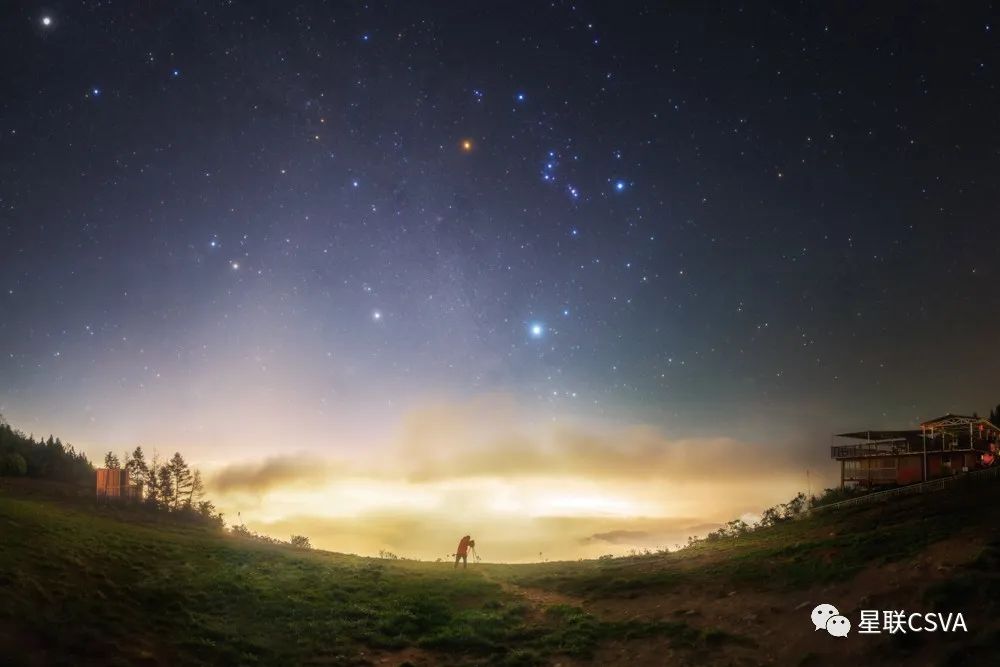 从排名倒数中，打捞那些被忽视的星光