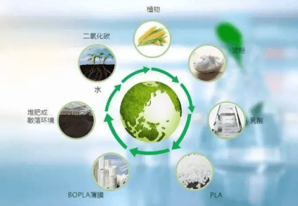 中粮科技，在生物基赛道上，重塑未来材料的新想象