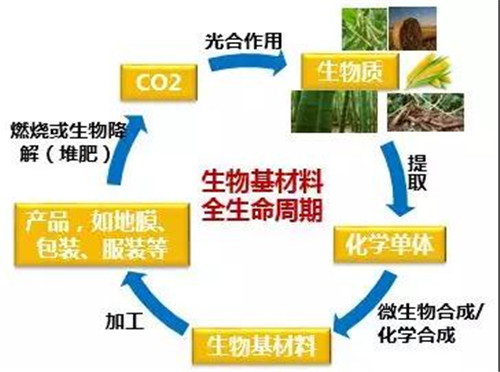 中粮科技，在生物基赛道上，重塑未来材料的新想象