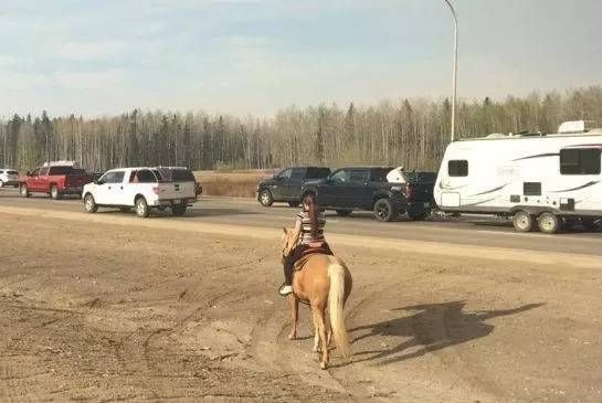 源飞宠物，当它经济闯入全球赛道，中国制造的牵绳如何系住人心？