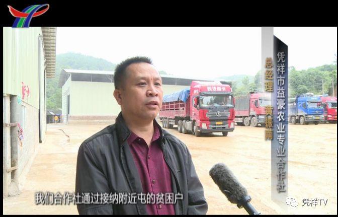 300兆瓦！粤港澳大湾区首个变速抽蓄工程进入机电安装阶段 擘画绿色能源新图景
