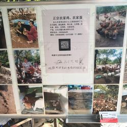 年是岁月里的驿站
