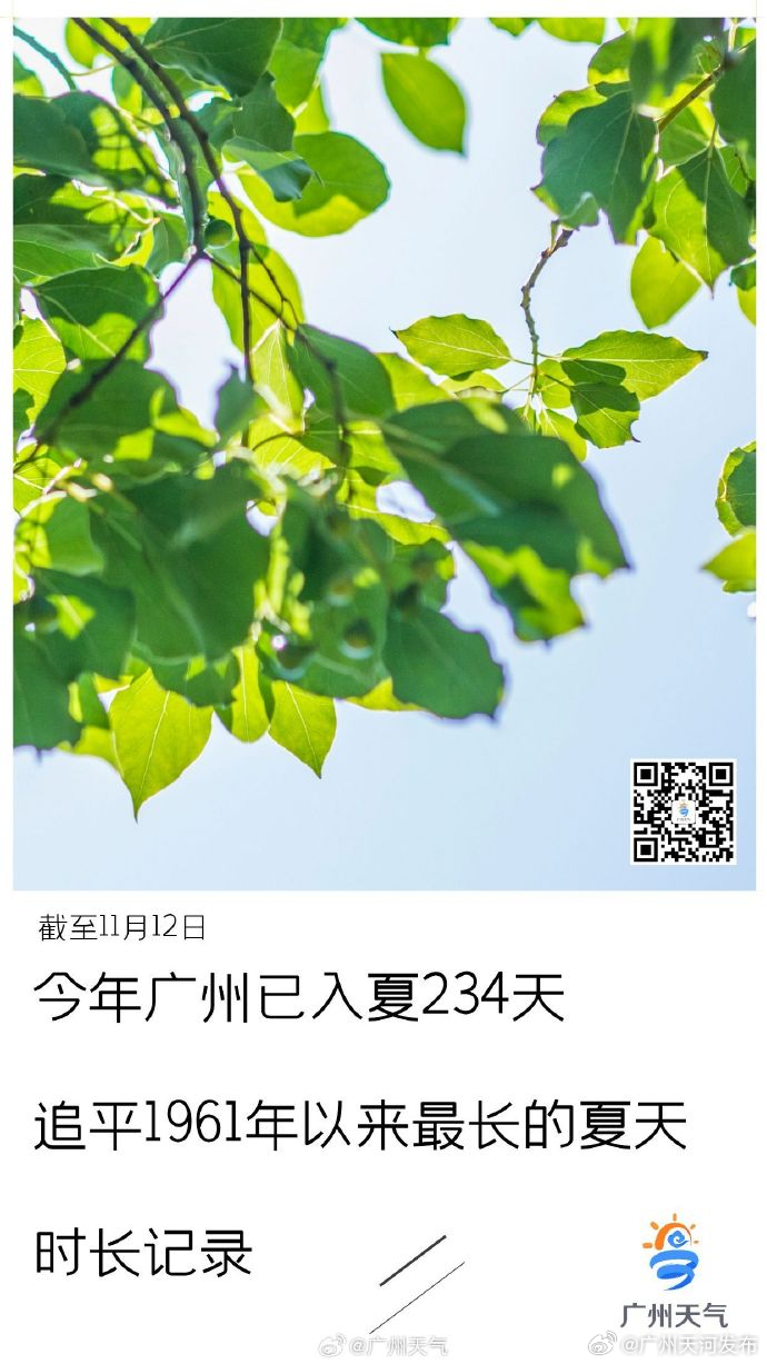 时间的锚点，在2024年8月31日，与夏天作别