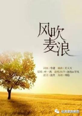 麦浪深处的凝望