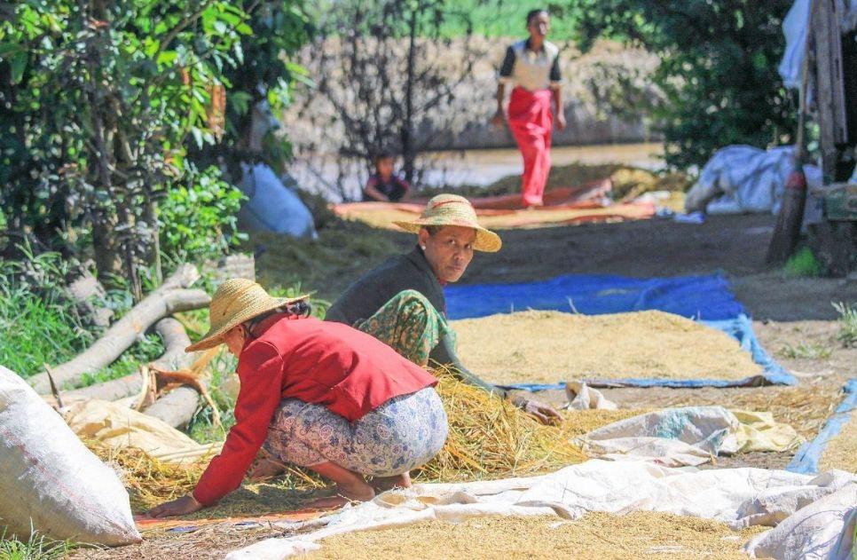 从-2.27亿到压力测试，透视亏损背后的转型阵痛与韧性生长