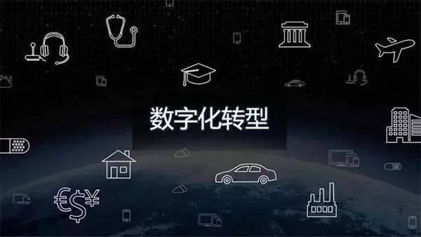 坚持数字化，不是选择，而是生存