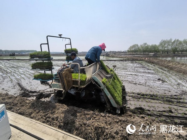逾1300亿金融活水精准滴灌，一场与实体经济共舞的深层变革