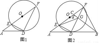Y字路口，在分裂的世界寻找第三条路径