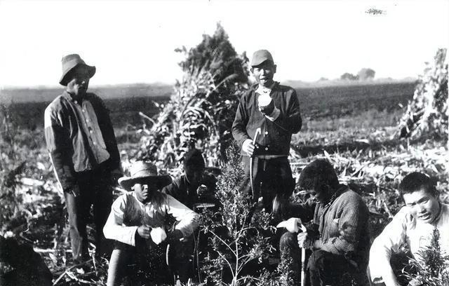 版本6.1.1，一场关于修复与遗忘的更新