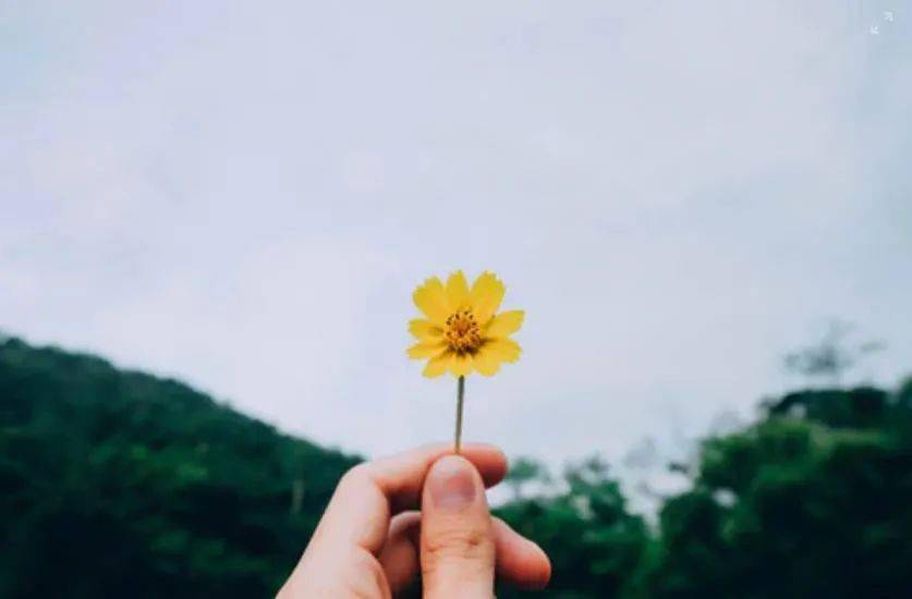 当天空发怒，极端天气如何撼动全球粮仓