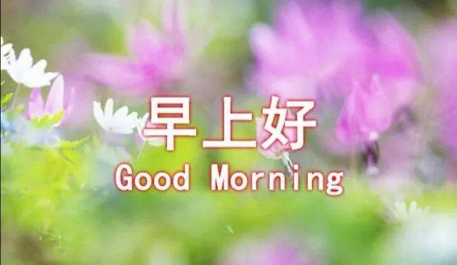 国庆蓄势，静待基本面花开