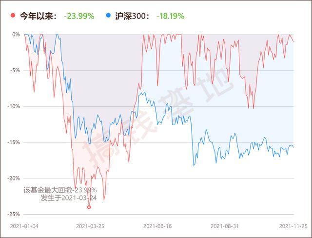 金鹰基金，在分化行情中寻找预期差，以长期主义穿越周期迷雾