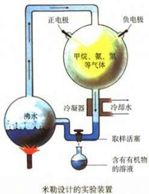 生命的容量