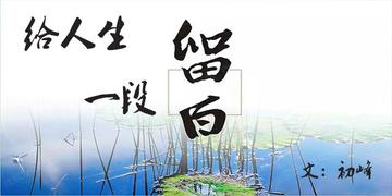 人生那40%的留白，才是命运的伏笔