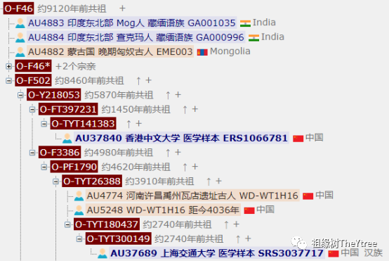 C 之魂，Java 之形，揭秘现代软件基石 Corp.