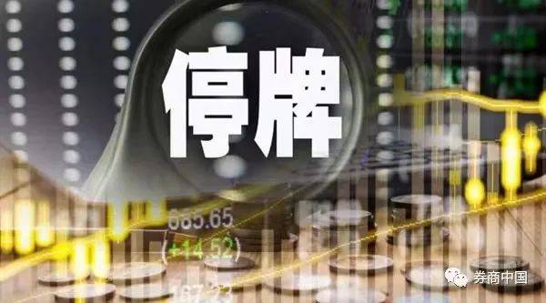 触发那一刻的寂静，临时停牌背后的市场心跳
