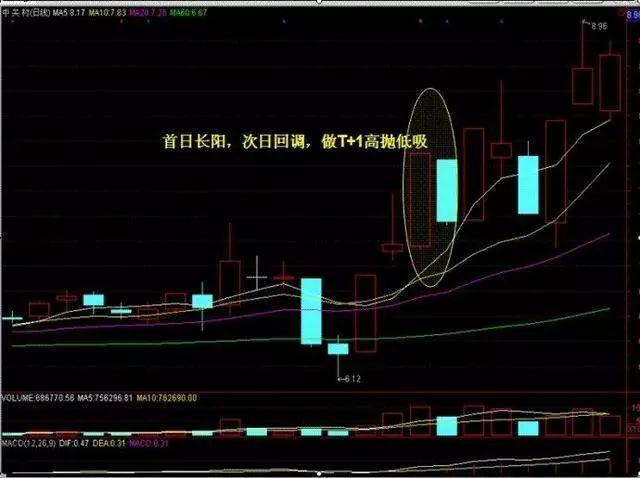 那根瞬间拉起的5.04%阳线，到底刺穿了什么？