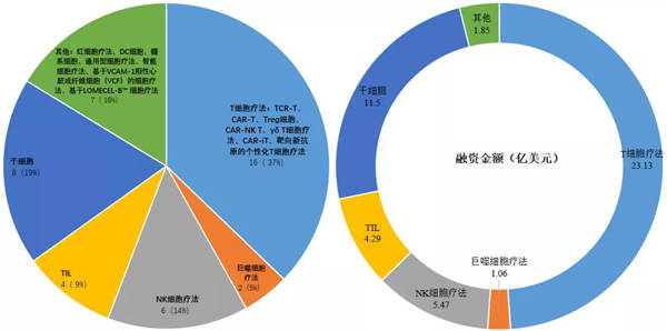 Allogene，改写癌症治疗规则的现货型细胞疗法