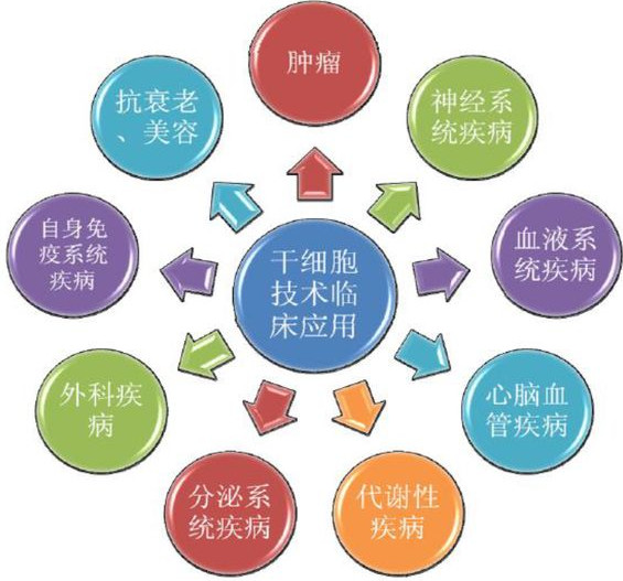Allogene，改写癌症治疗规则的现货型细胞疗法