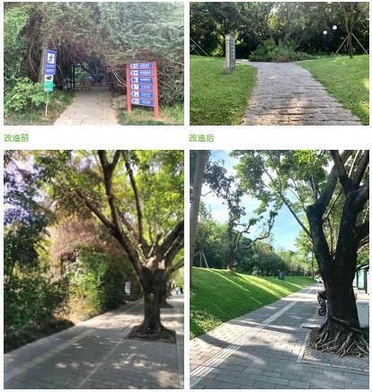A股超5000只个股上涨，一场市场信心的集体投票