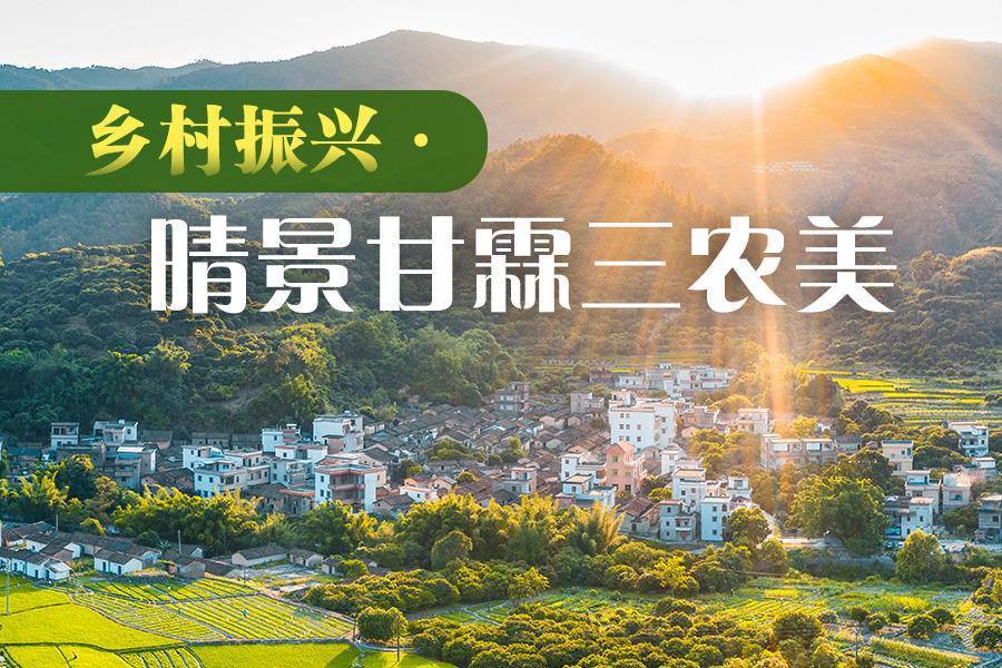 引金融活水，浇灌高质量发展沃土