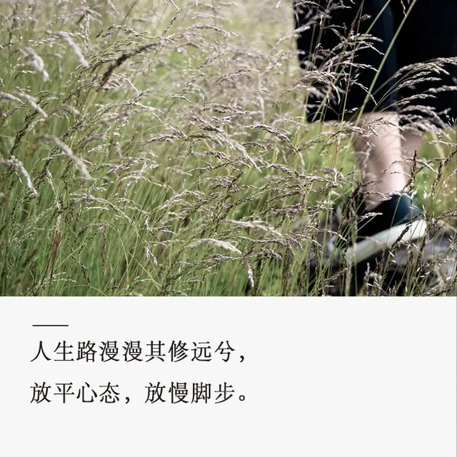 放缓步伐，方能致远亦得近安