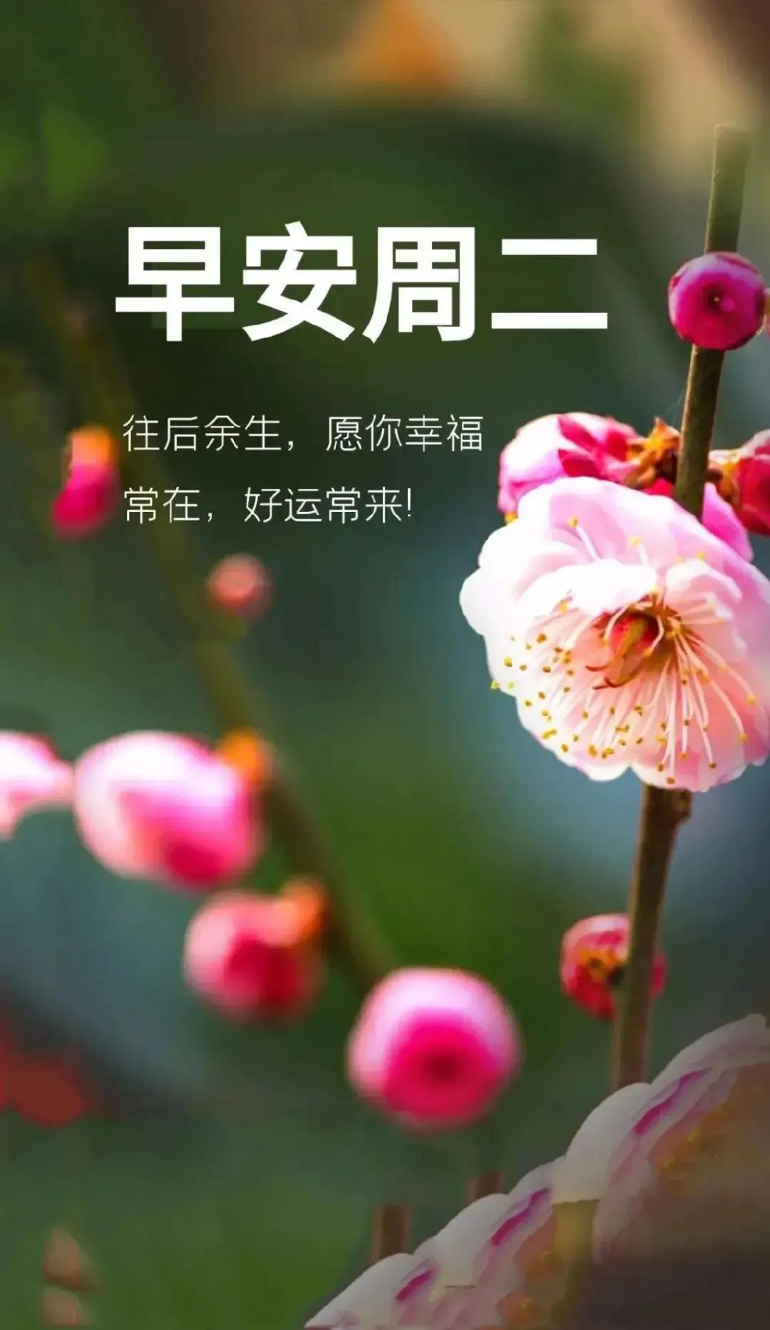 即日起，让每一个当下都成为未来的序章