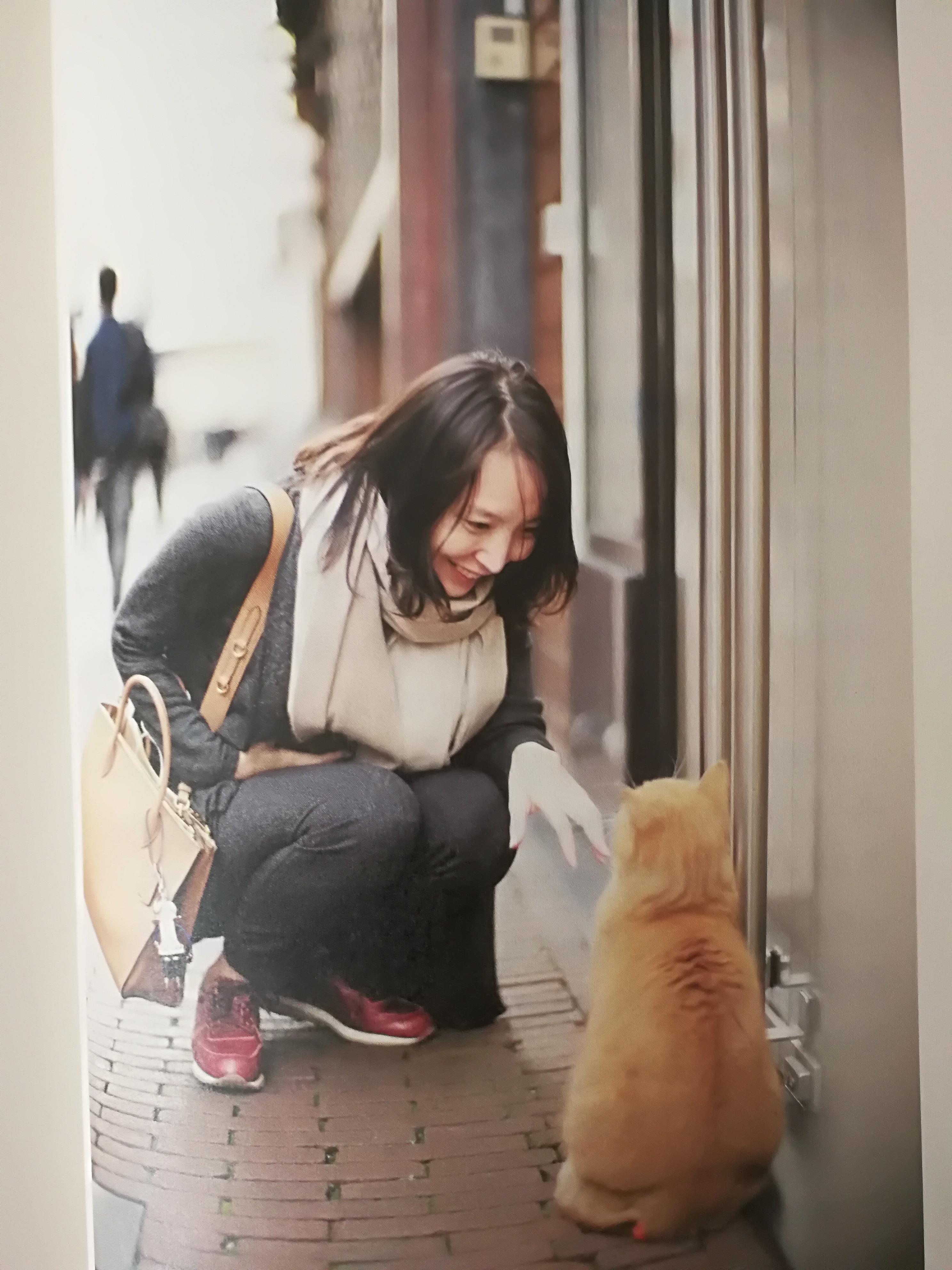 好，这是为你撰写的文章