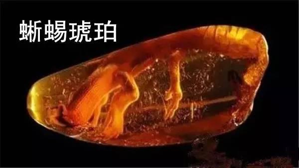 十六岁的琥珀