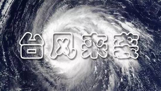 惊魂一刻！盘中急速跳水5.04%是倒车接人还是风暴前兆？