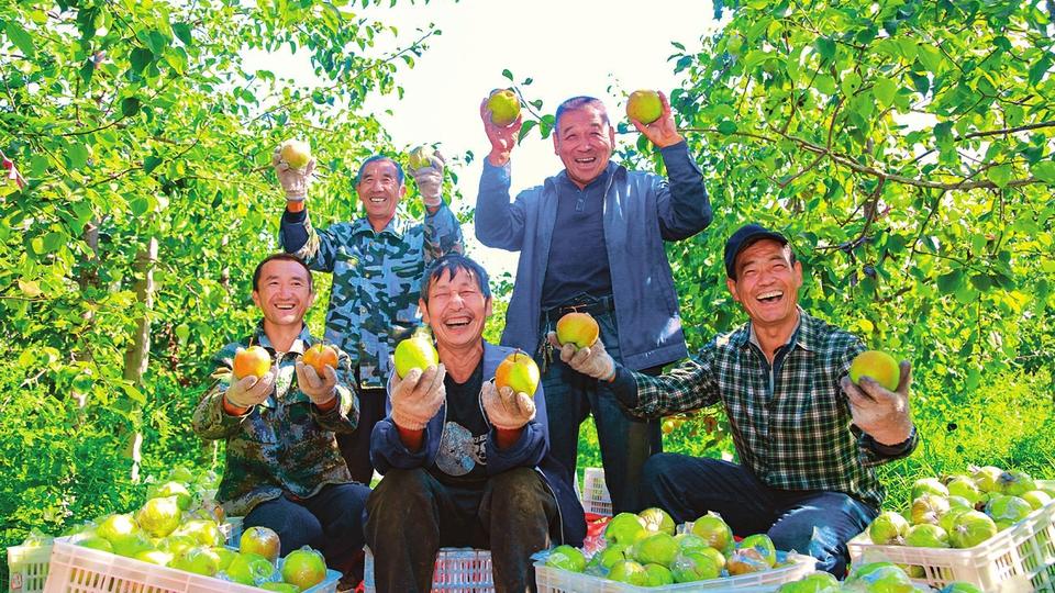 夯基固本惠民生，以基建之力筑就幸福生活
