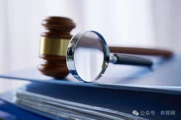 独立审查的透明力量，当未发现不当行为成为信任的基石