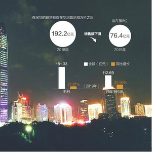 295轮资本鏖战，310亿刷新纪录，深圳新地王背后的信心与博弈